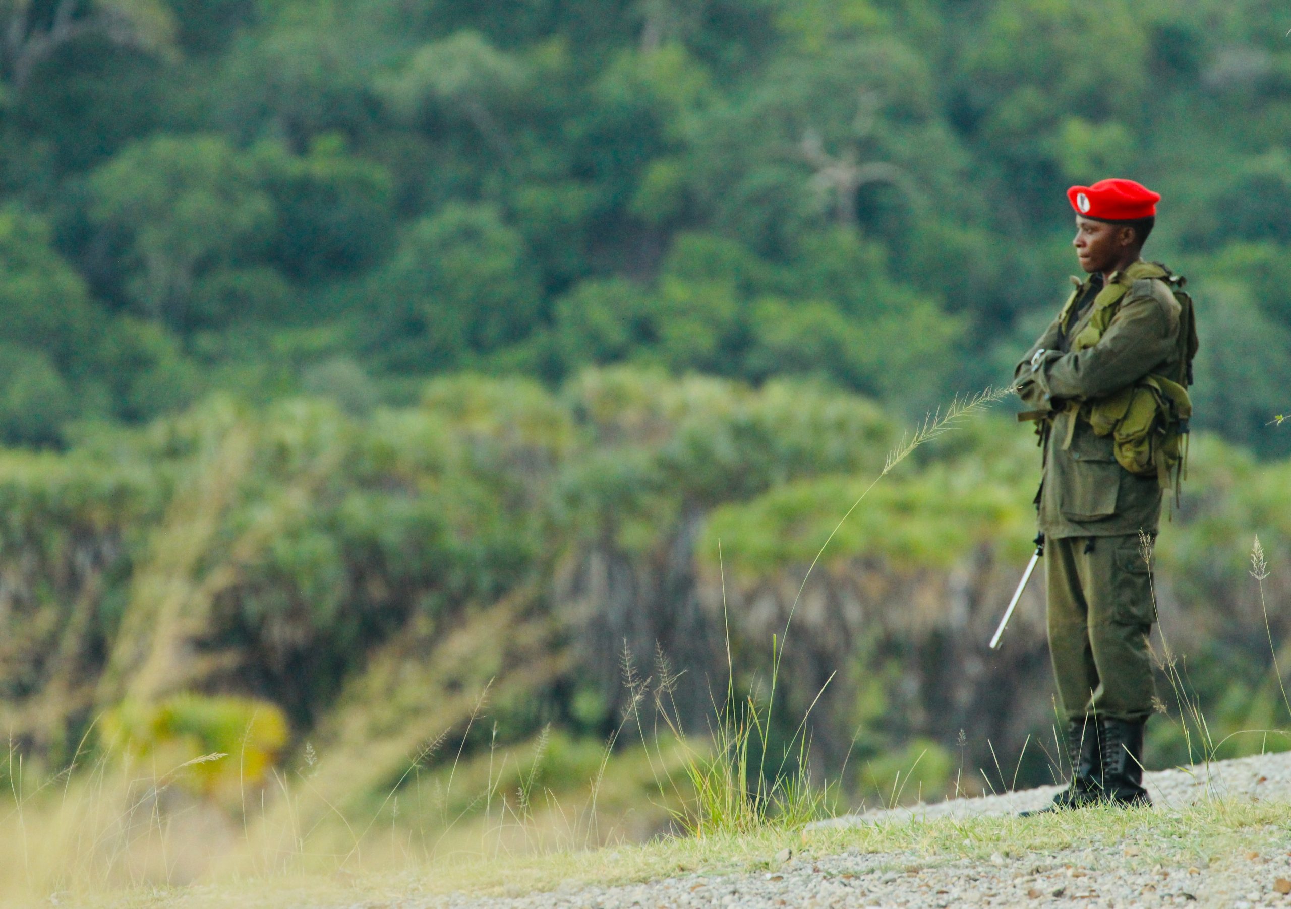 Africa's Rangers: Guardians of the Wilderness • Wildlife Conservation ...