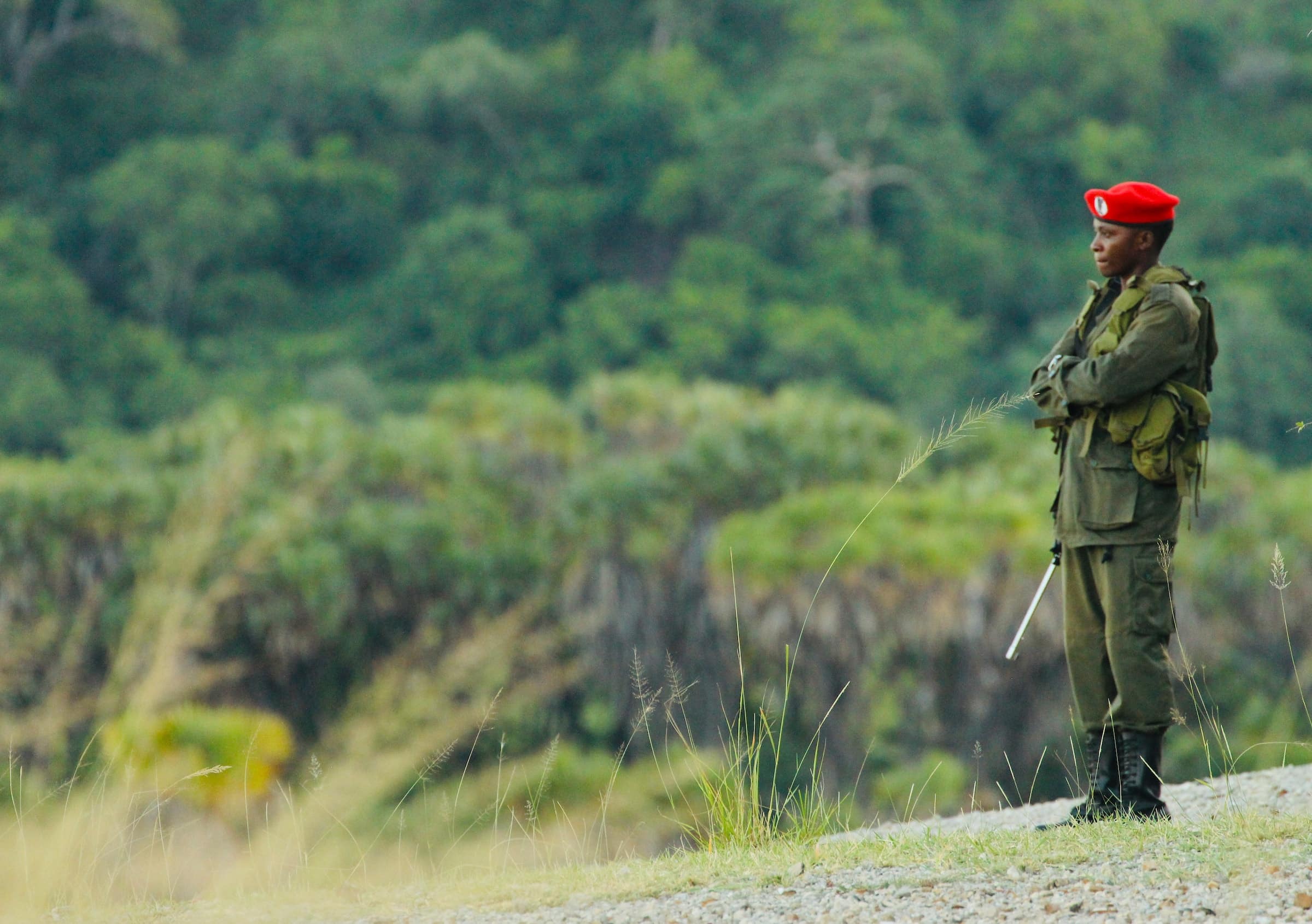 Celebrating Rangers on World Ranger Day • Wildlife Conservation Network