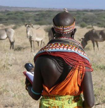 Grazing to Save Grevy’s