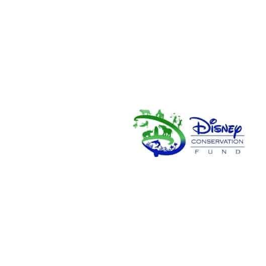 Disney Logo Right