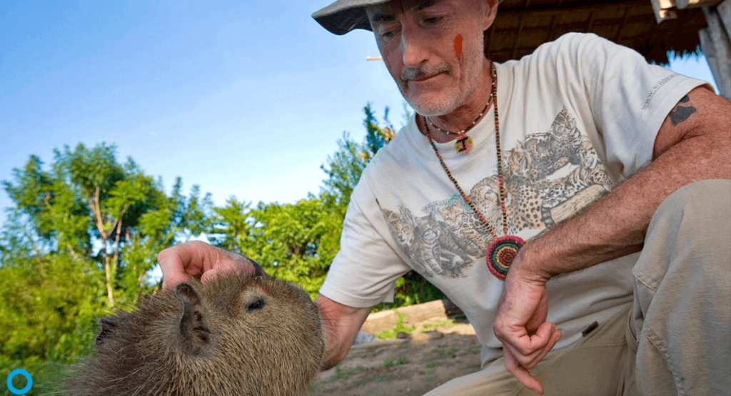 Capybaras also purr like cats