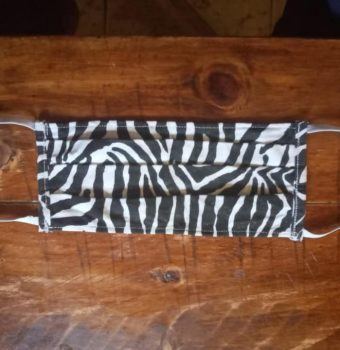 New Stripes for Samburu and Grevy’s Zebra Trust