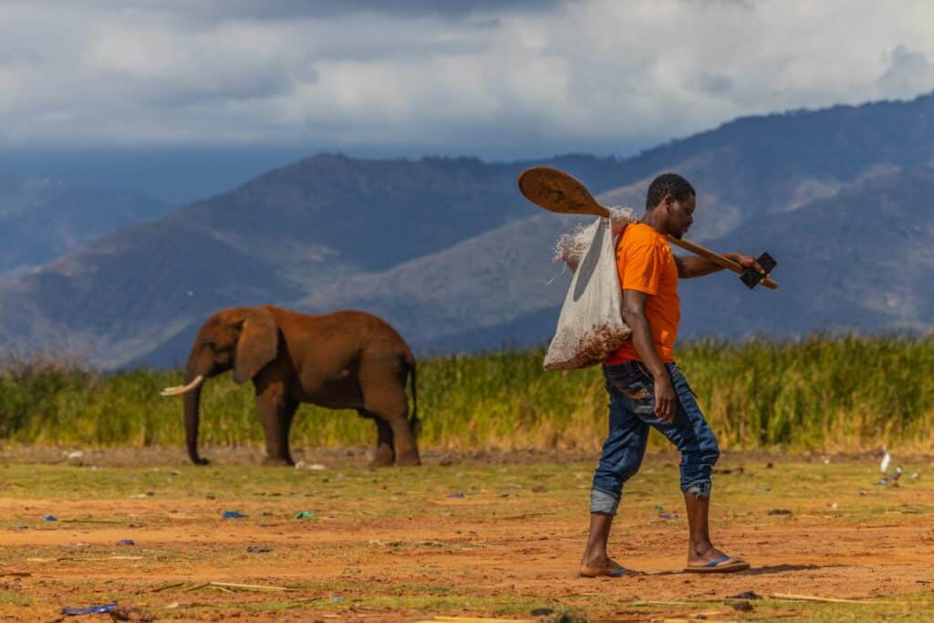 elephant human coexistence Kenya