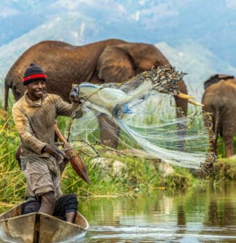 The Community That Lives With Elephants