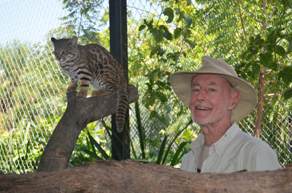 jim sanderson pampas cat