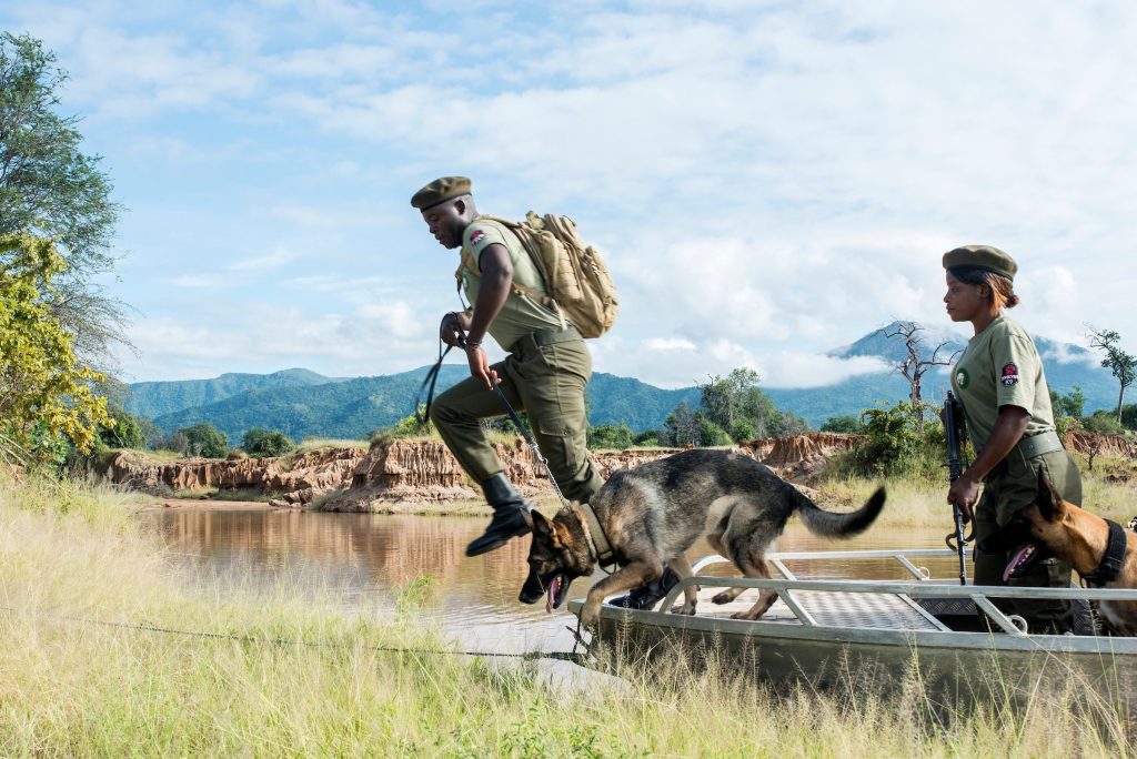 Celebrating Rangers on World Ranger Day • Wildlife Conservation Network