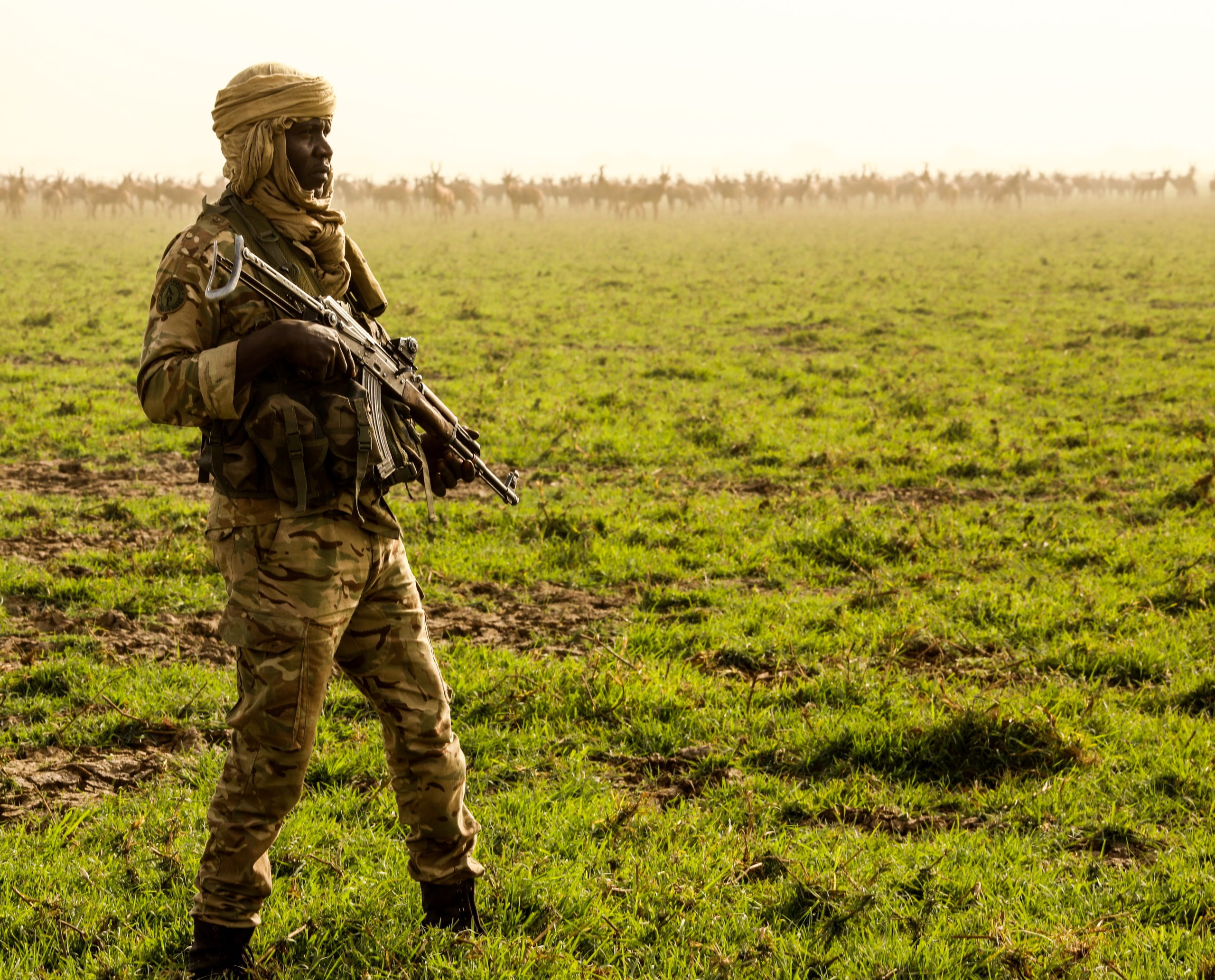 Wildling Ranger Celebrating Rangers on World Ranger Day • Wildlife Conservation Network