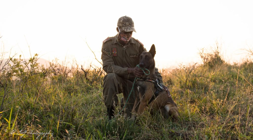 The Importance of Rangers with Integrity • Wildlife Conservation Network