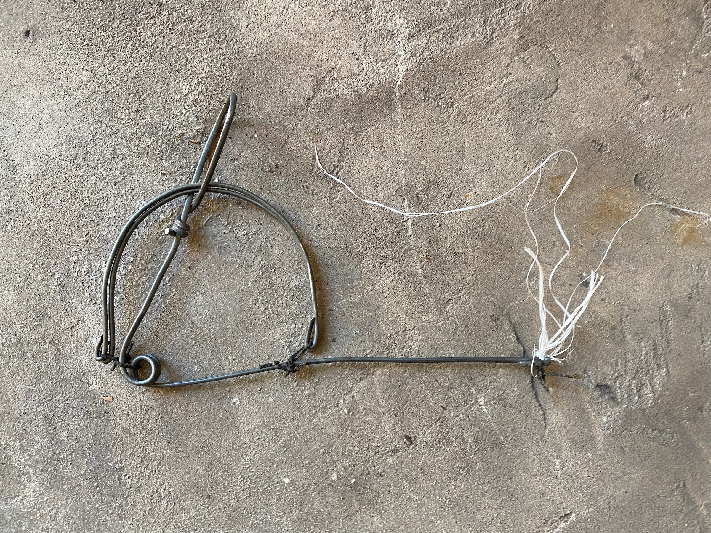 poaching snare