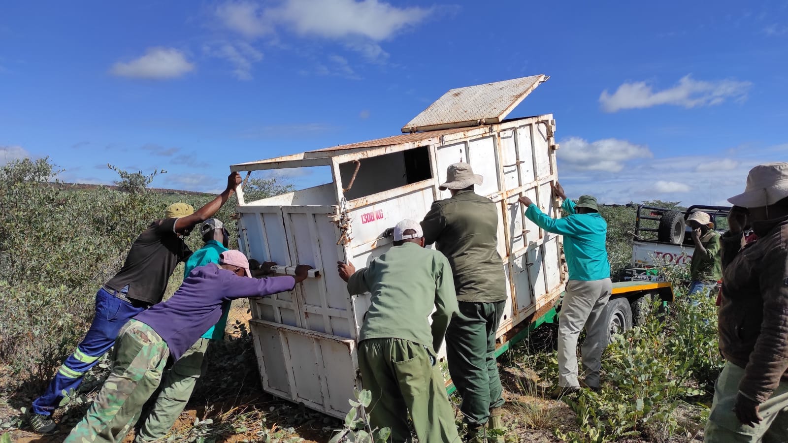 rhino translocation relocation