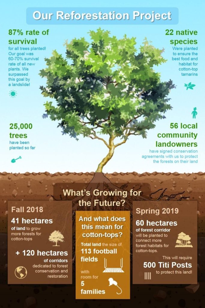 Reforestation Project